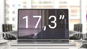17,3”